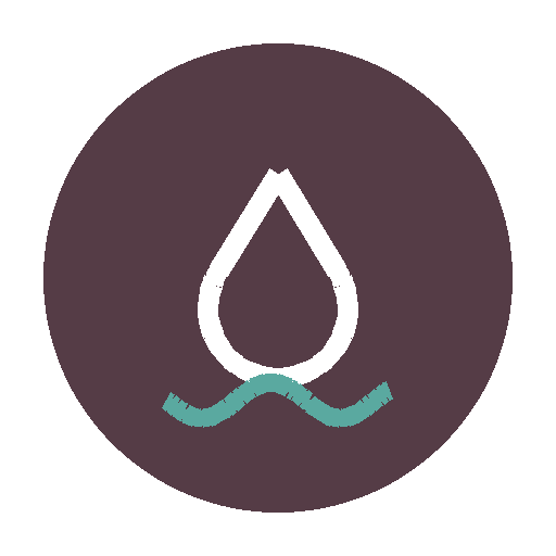 Flood Repair Macon logo